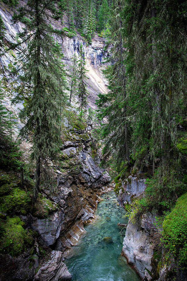 Johnston Canyon Canada Photograph by Dan Sproul