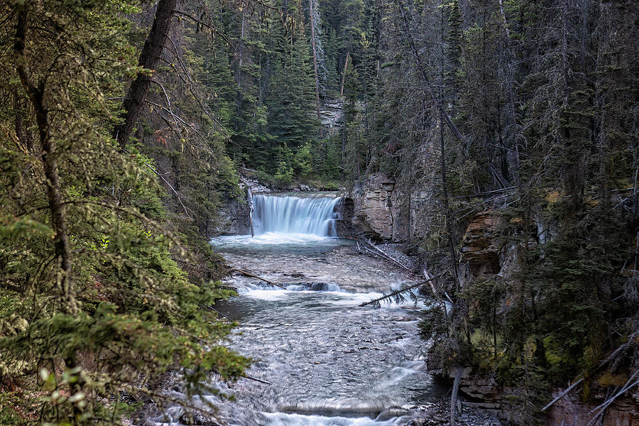 Johnston Creek Waterfall Along the Way Photograph by Belinda Greb