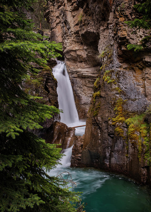 Johnston Falls Canada Photograph by Dan Sproul