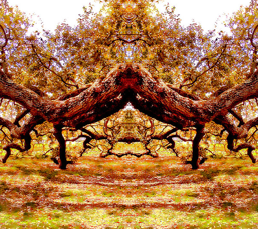 Joined by The Oak Tree Trunk Digital Art by Gayle Price Thomas