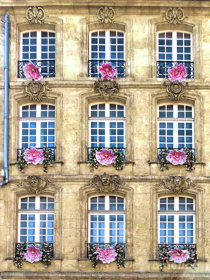 Jolly Bordeaux Windows Photograph by Jennie Breeze