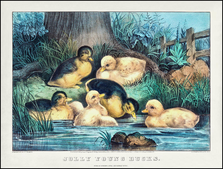 Jolly Young Ducks Vintage Scenes From Nature 1866  Painting by Currier and Ives