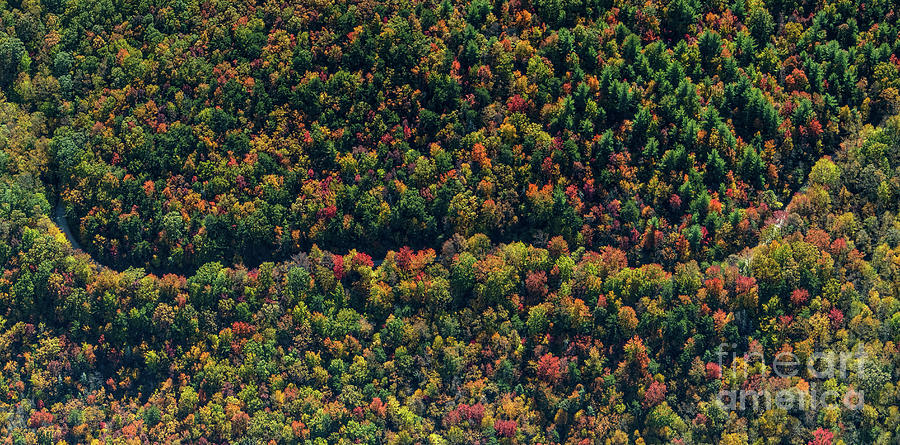 Jonas Ridge North Carolina by the Blue Ridge Parkway Vertical Ae Photograph by David Oppenheimer
