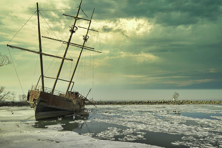 Jordan Harbor Ontario shipwreck Photograph by Nick Mares