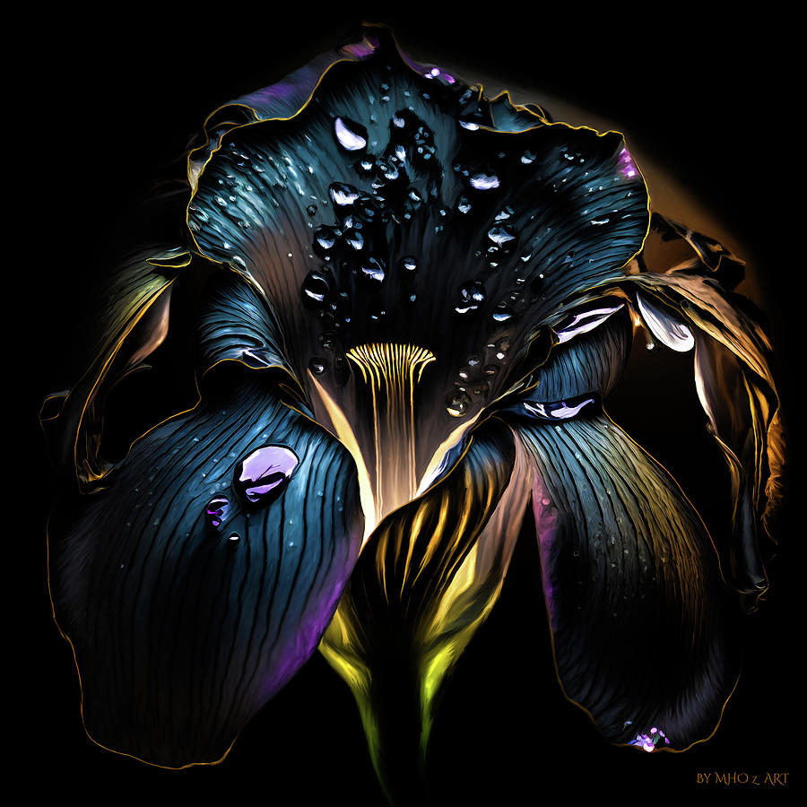 Jordanien Black Iris Digital Art by Marc Van den Hoven - Fine Art America