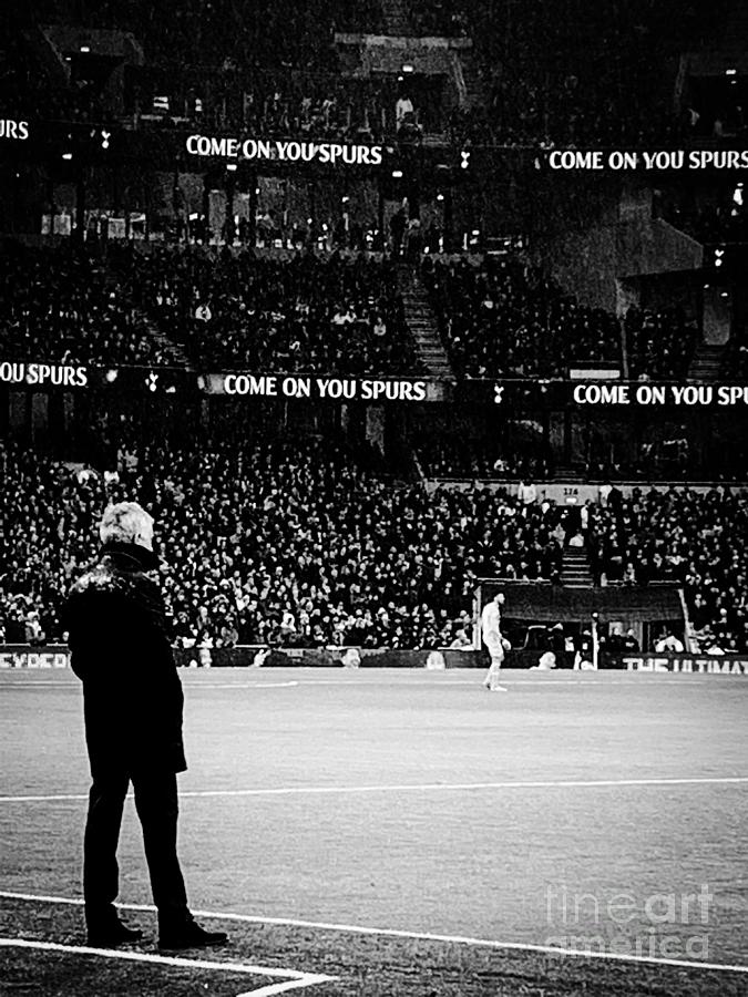 Jose Mourinho, Tottenham Hotspurs Photograph