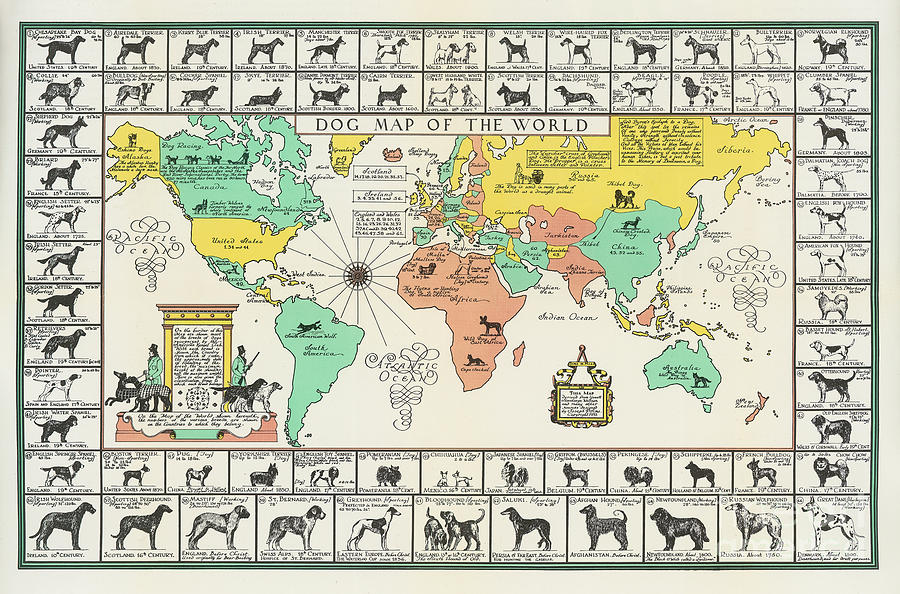 Joseph P Sims - Dog Map of the World - c1940 Digital Art by Vintage Map