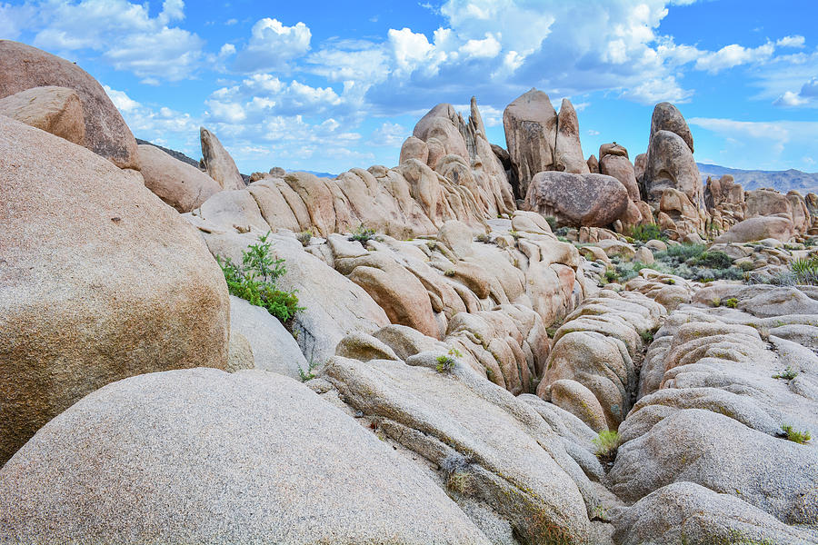 National Parks Photograph - Joshua Tree Geology by Kyle Hanson