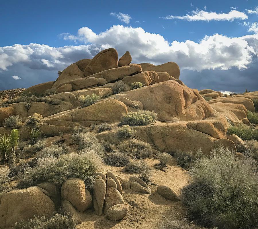 Joshua Tree Granite Rock Formations Photograph by Rebecca Herranen