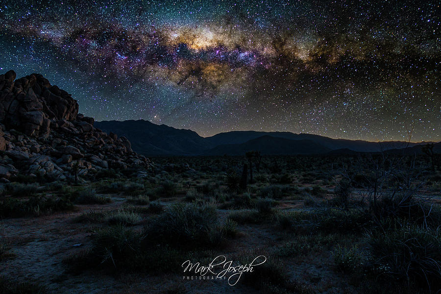 Joshua Tree Milky Way Photograph by Mark Joseph