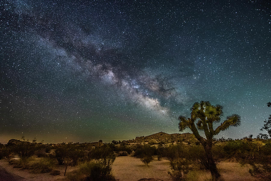 Joshua Tree Milky Way Photograph by Ronald Dukat - Fine Art America