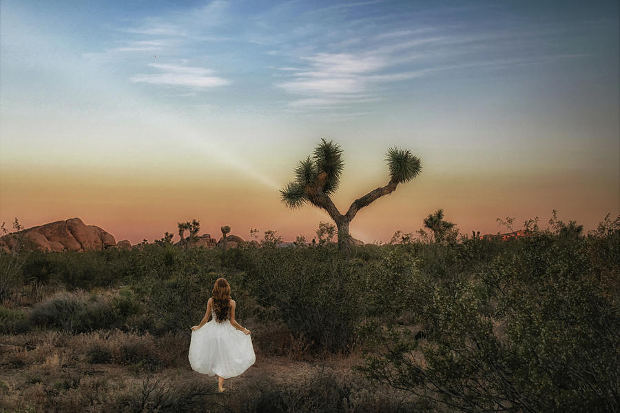 Joshua Tree Moments by Alison Frank Joshua Tree Moments by Alison Frank