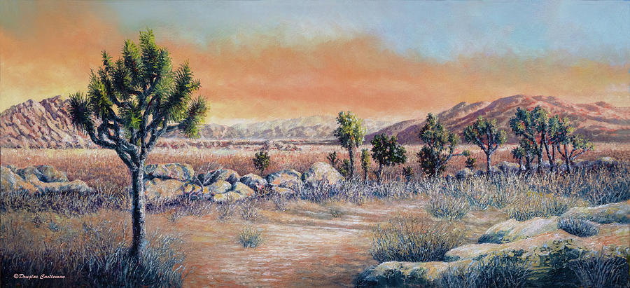 Joshua Tree National Park Painting by Douglas Castleman