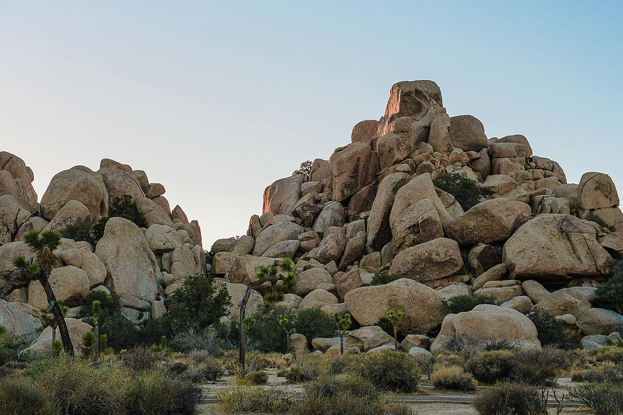Joshua Tree NP Rock Formation Photograph by Jermaine Beckley