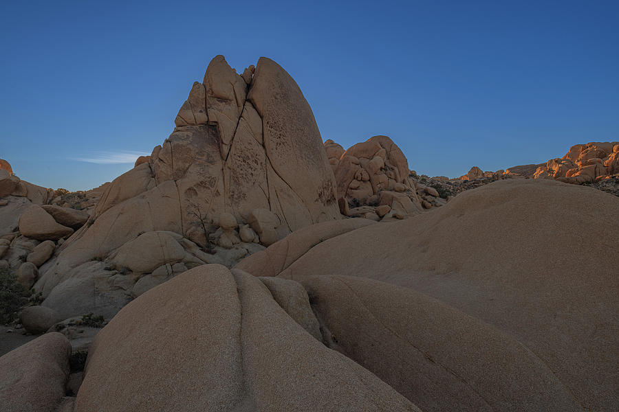 Joshua Tree Rocks After Sunset Photograph by TM Schultze
