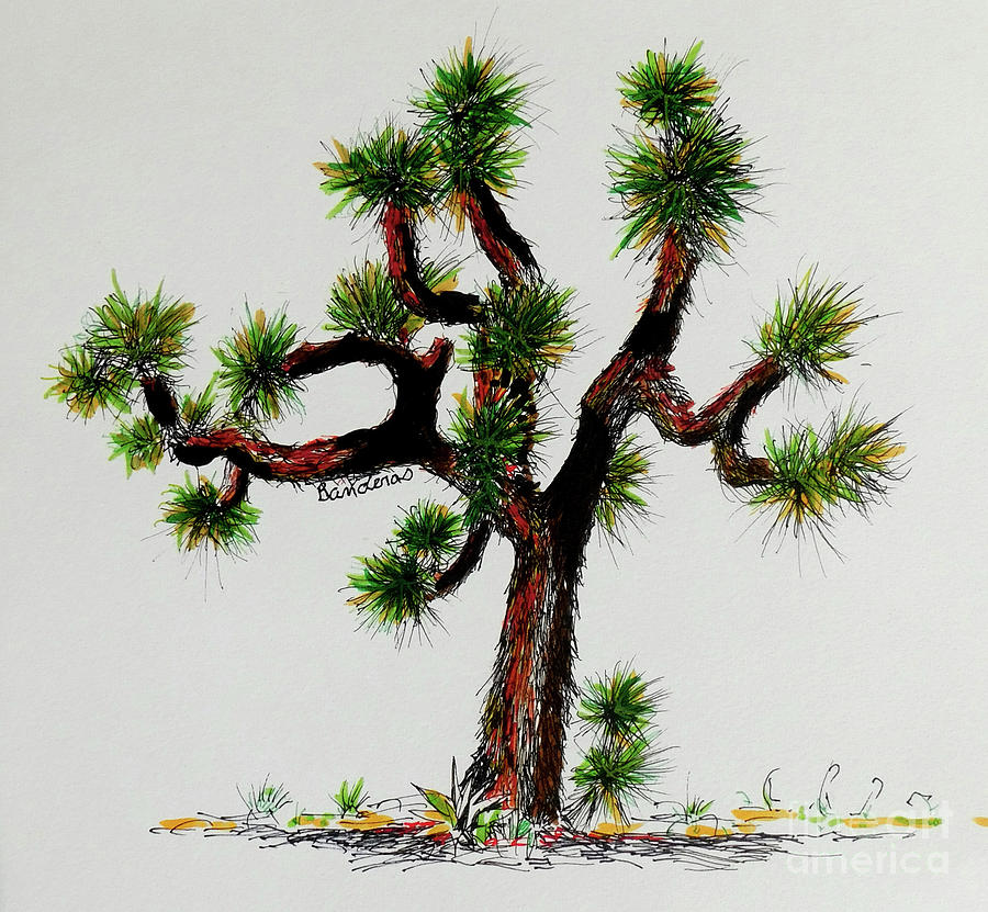 Joshua Tree Painting by Terry Banderas