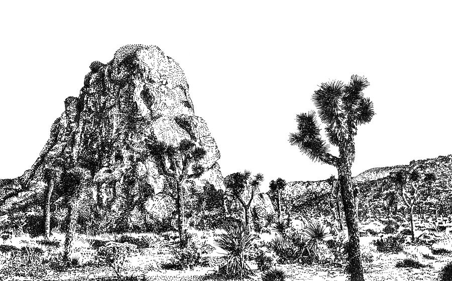 Joshua Trees And Granite Boulders Drawing By Nathan Lofland