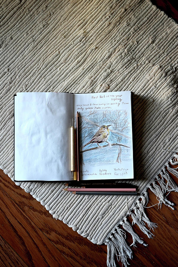 Journal Entry about Maybe Seeing a Wren. Photograph by Katherine Nutt