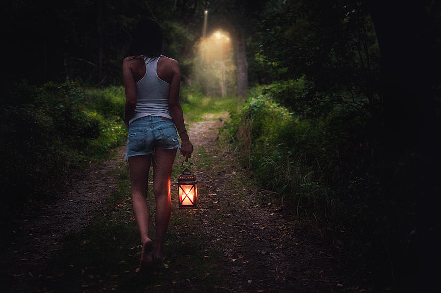 Journey through the woods Photograph by Robert Stebler