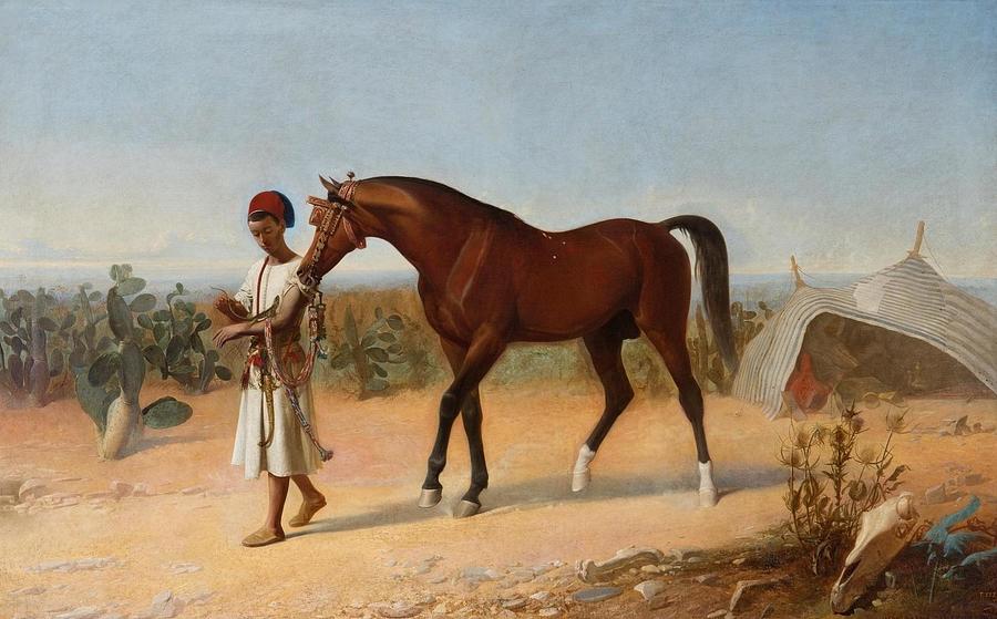 Joven marroqui llevando del diestro a un caballo Drawing by Marcelinode ...