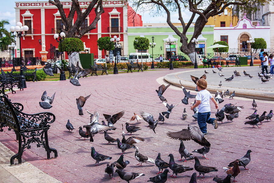 Joy and fun in the park - Campeche, Mexico Photograph by Tatiana Travelways