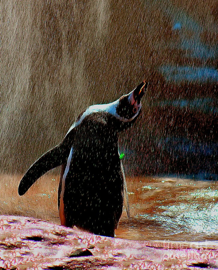 Joy of Water Penguin Style Photograph by Sea Change Vibes