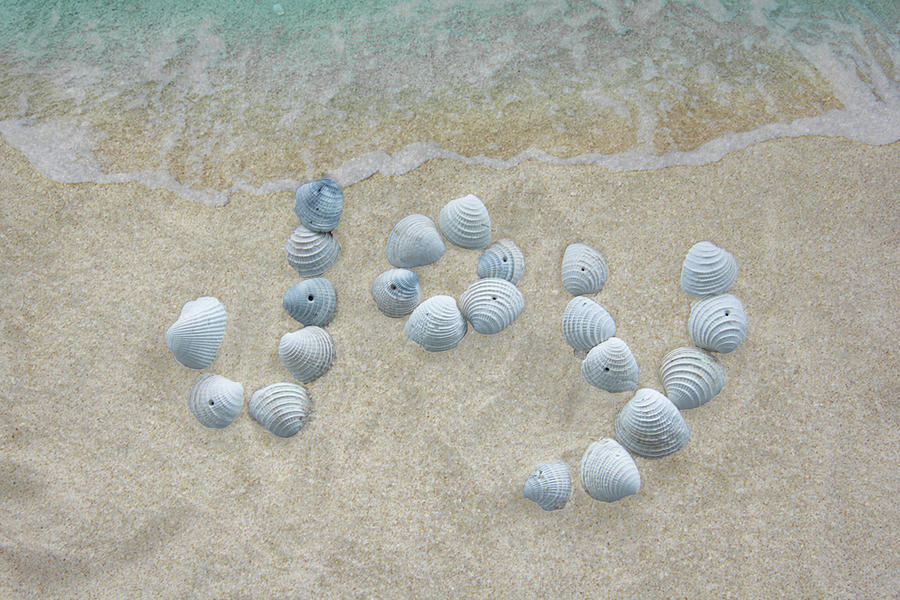 Joy Seashells on the Beach Photograph by Pamela Williams
