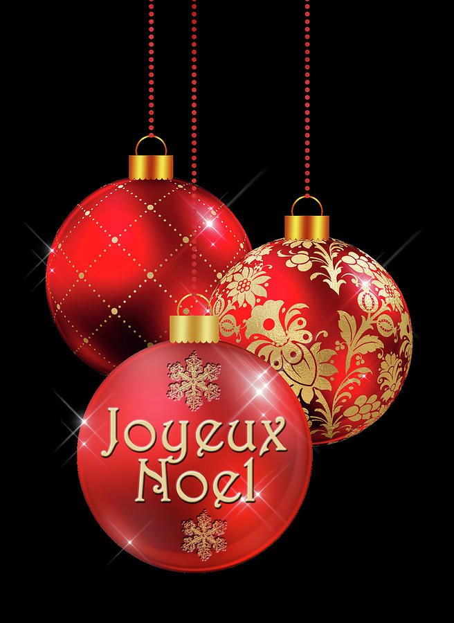 Joyeux Noel Greeting Digital Art by HH Photography of Florida - Pixels