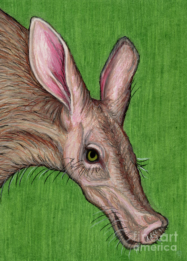 Joyful Aardvark  Painting by Amy E Fraser