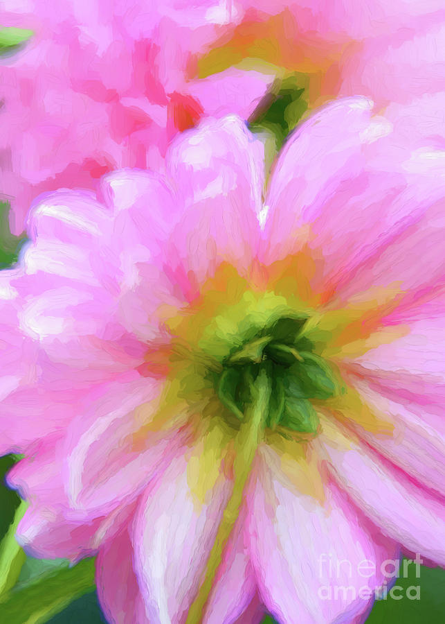 Joyful Pink Dahlia - Impasto Style  Photograph by Lorraine Cosgrove