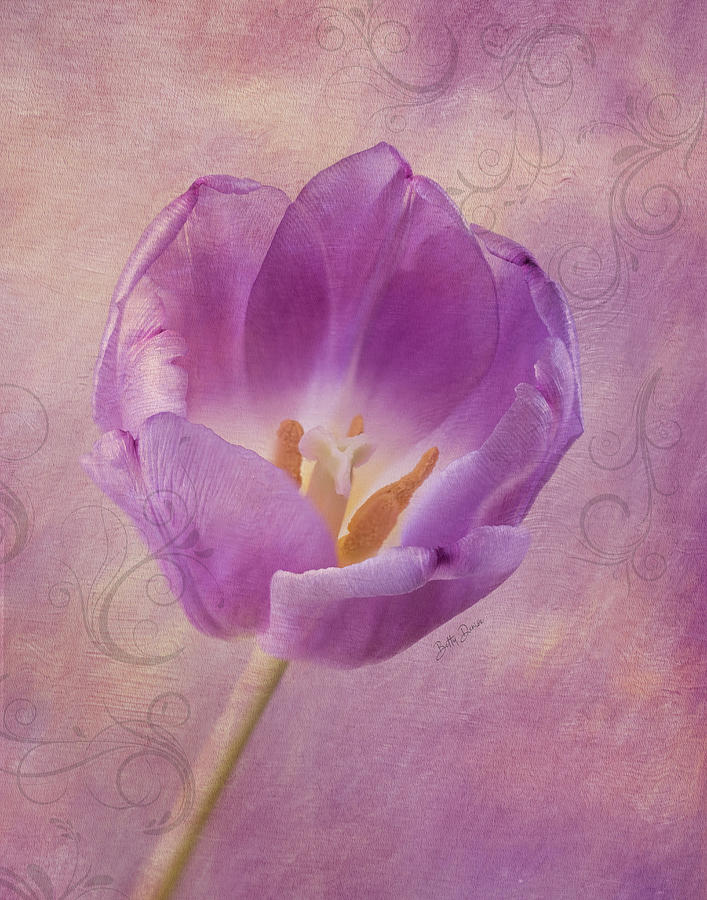 Spring Photograph - Joyful Purple Tulip - Spring by Betty Denise