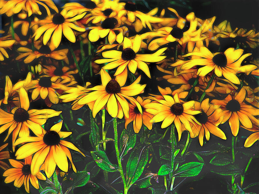 Joyful Yellow Summer Flower Garden Photograph by Ann Powell