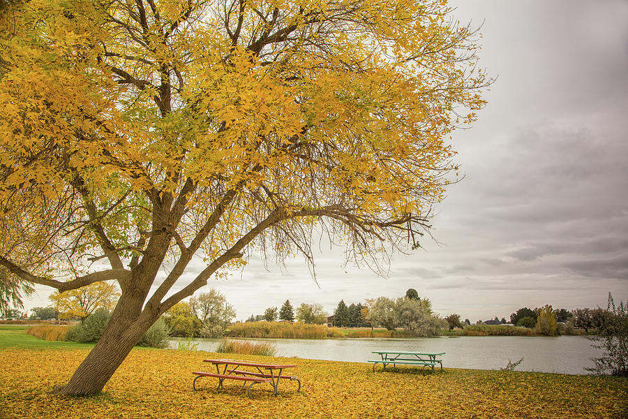 Joys of autumn Photograph by Kunal Mehra