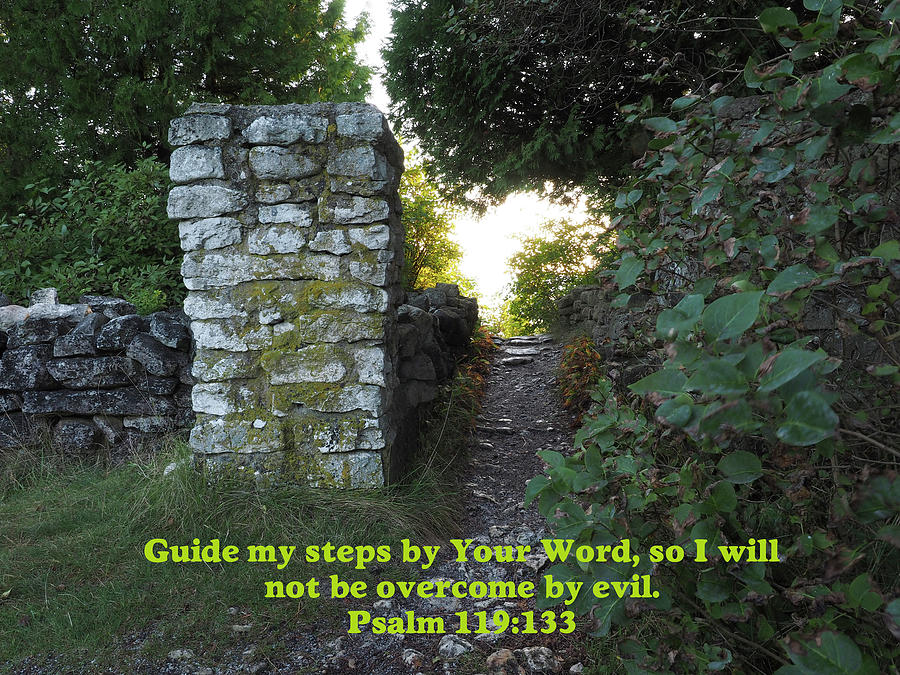 Guide My Steps by Your Word Photograph by James C Richardson