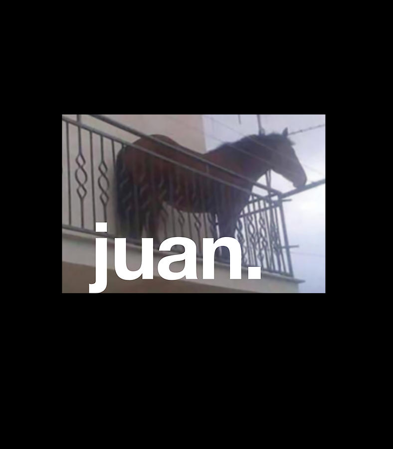 juan horse shirt