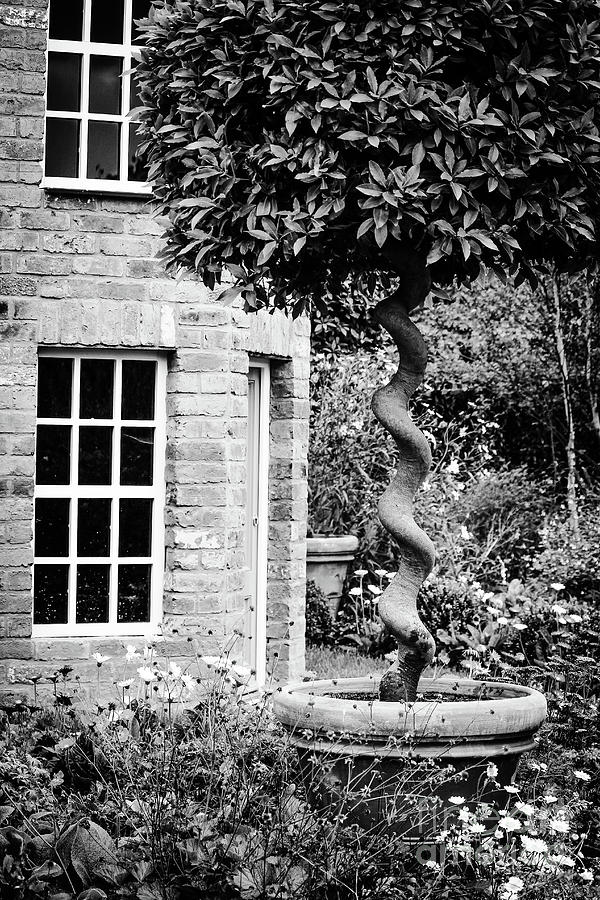 Jubilee Garden bw Vertical Antrim Photograph by Eddie Barron