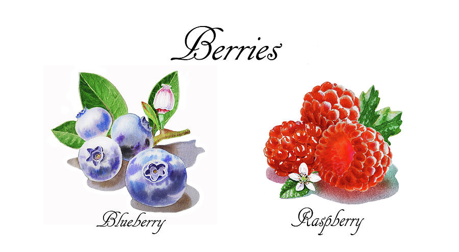 Juicy Berries Blueberries And Raspberries Watercolor Art  Painting by Irina Sztukowski