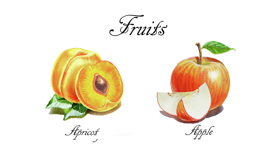 Juicy Fruits Apple And Apricot Watercolor Art  Painting by Irina Sztukowski