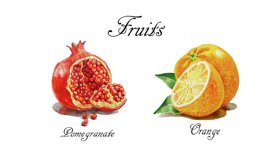 Juicy Fruits Pomegranate And Orange Watercolor Art  Painting by Irina Sztukowski