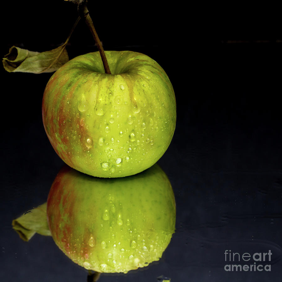 Juicy green apple Photograph by Agnes Caruso