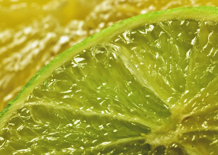 Juicy Lemon And Lime Photograph