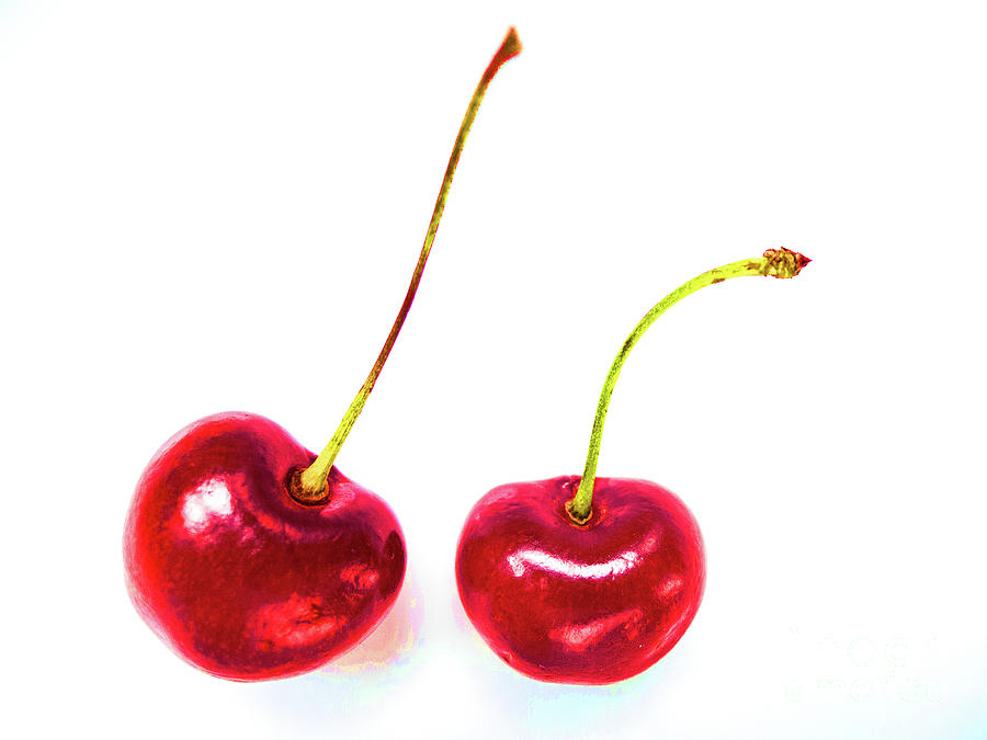 Juicy - Pop Art Cherries Photograph by Mark Haynes - Fine Art America