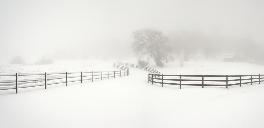 San Diego Photograph - Julian Driveway And Snow by William Dunigan San Diego Photograph - Julian Driveway And Snow by William Dunigan