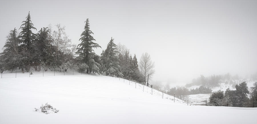 San Diego Photograph - Julian Snowy Hillside by William Dunigan San Diego Photograph - Julian Snowy Hillside by William Dunigan