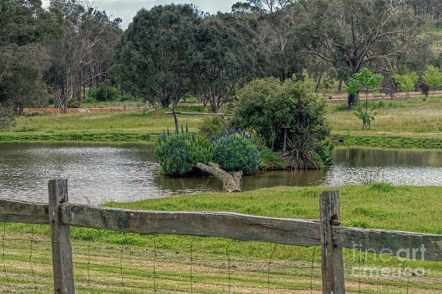 Julias Garden, Capel, Western Australia #3 Photograph by Elaine Teague