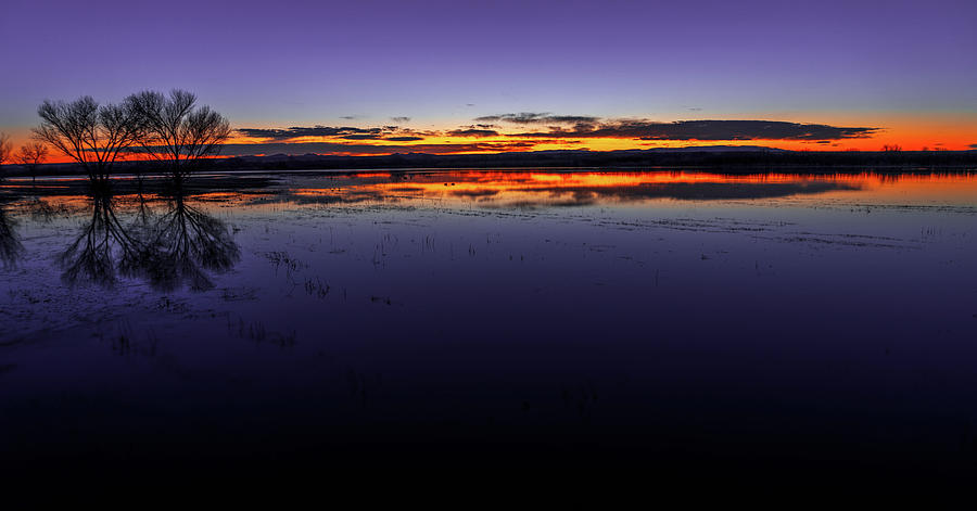 July 2020 Bosque del Apache Sunrise Photograph by Alain Zarinelli