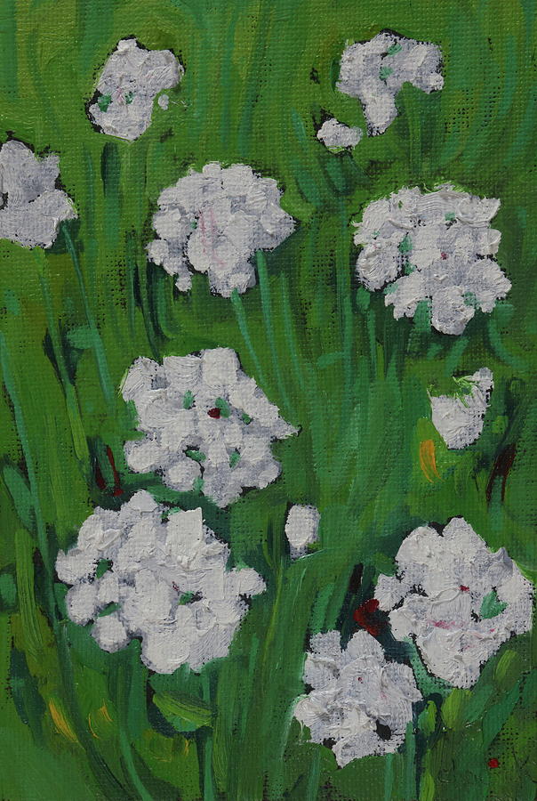 July Queen Annes Lace Painting by Phil Chadwick