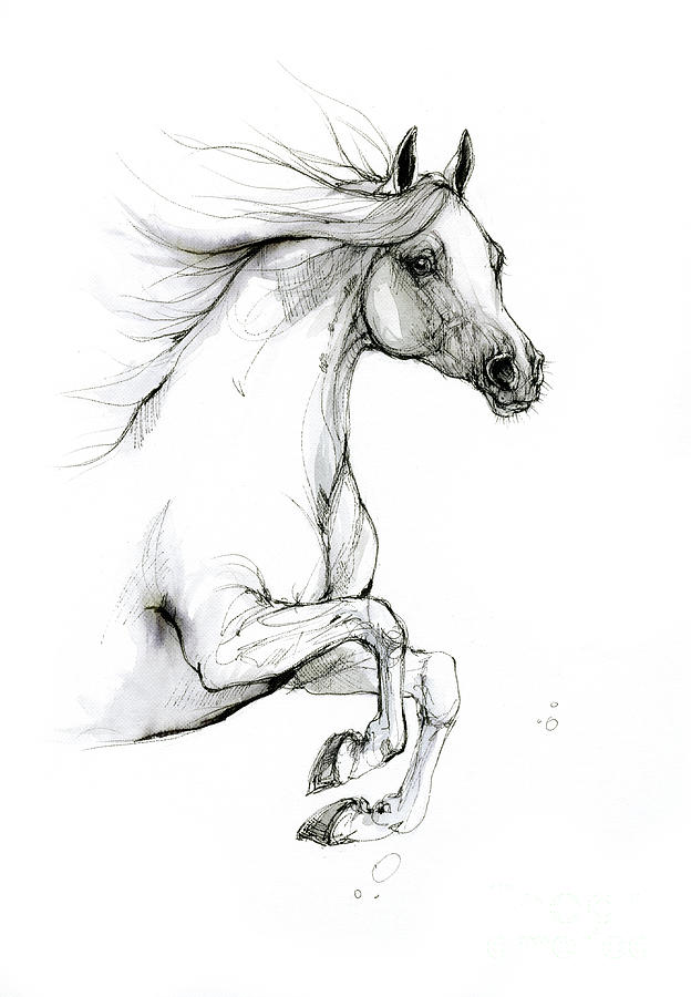 Jumping horse 2019 09 04 Drawing by Ang El