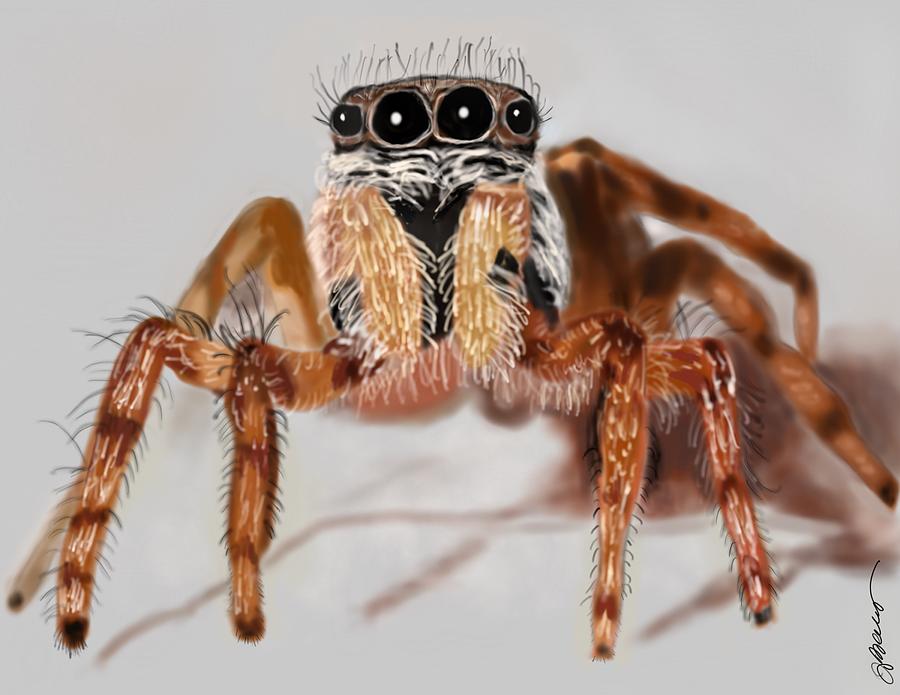 Jumping Spider Digital Art By Joy Kelley - Fine Art America