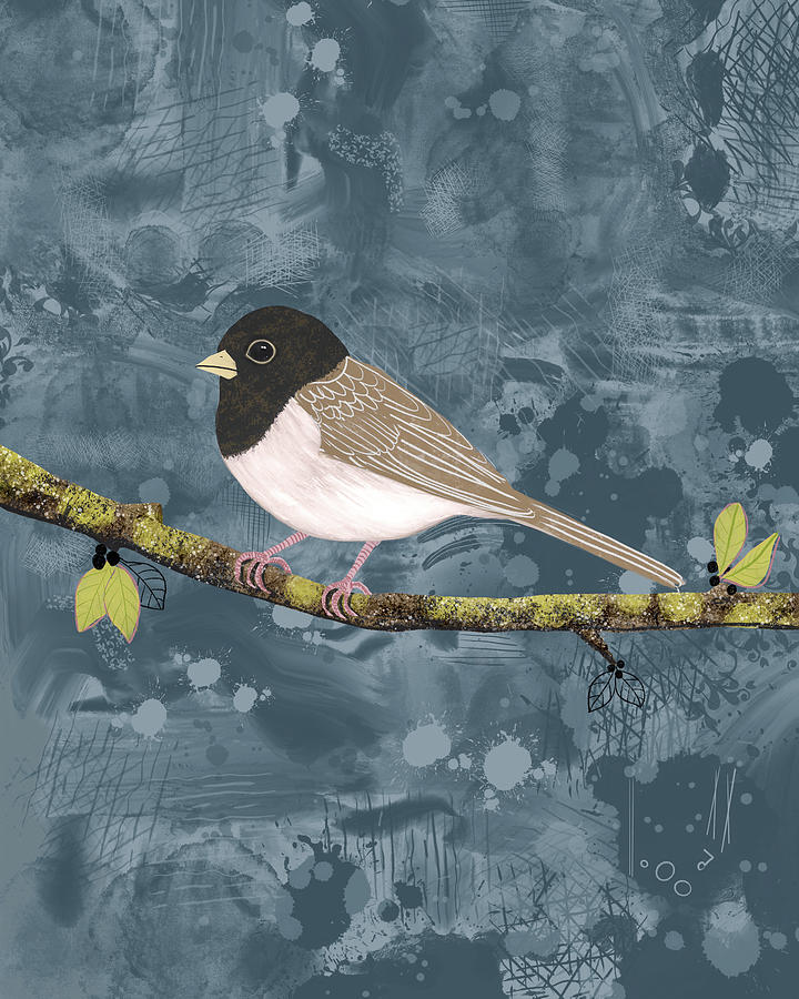 Junco Bird Digital Art by Blenda Studio
